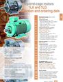 Picture of 1LA-1LG Squirrel-cage motors_2004