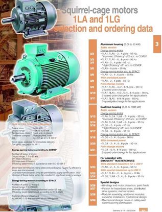 Picture of 1LA-1LG Squirrel-cage motors_2004