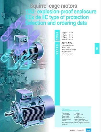 Picture of 1MJ6-1MJ7-1MJ8 EEx de IIC  Squirrel-cage motors_2004