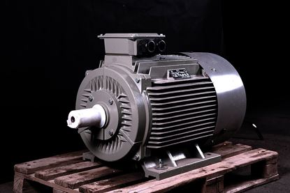 Picture of OM1 200L4