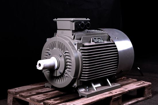 Picture of OM1 200L4