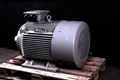 Picture of OM1 150