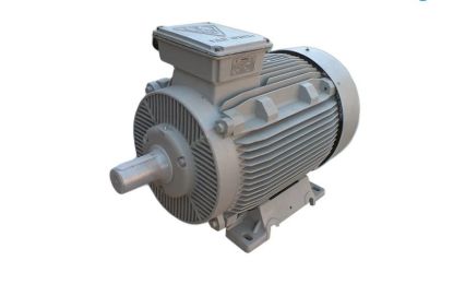 Picture of الکتروموتور موتوژن, تایپ :30KW , 2 Pole , 200L2A
