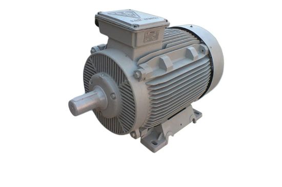 Picture of الکتروموتور موتوژن, تایپ :18.5KW , 2 Pole , 160L2C