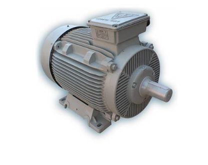 Picture of الکتروموتور موتوژن, تایپ :250KW , 2 Pole , 315L2B