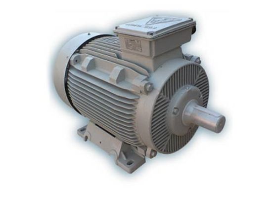 Picture of الکتروموتور موتوژن, تایپ :250KW , 2 Pole , 315L2B