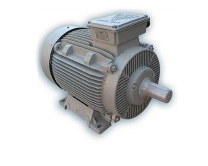 Picture of الکتروموتور موتوژن, تایپ :55KW , 2 Pole , 250M2