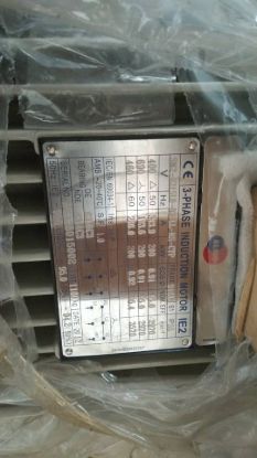 Picture of ALMO motor Type SM2-0315L0-02-LL-NS-CTP, 200KW, 2Pole			