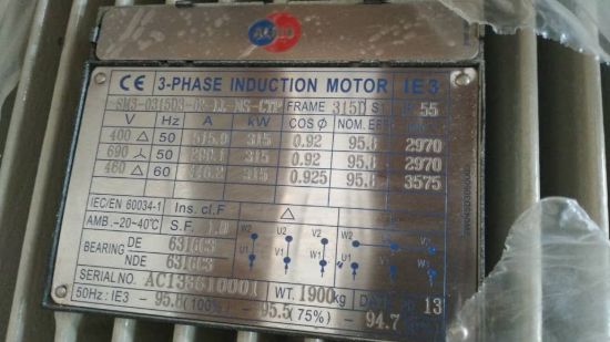Picture of ALMO motor Type SM3-315D2-02-LL-NS-PTC, 315KW, 2Pole