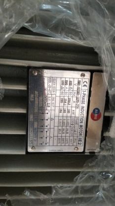 Picture of ALMO motor Type SM2-315LM2-LLNS-PTC, 160KW, 2Pole