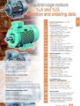 Picture of 1LA-1LG Squirrel-cage motors_2004